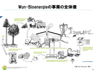 Wun-Bioenergieの事業の全体像
29
出典：Wun-Bioenegie 資料
 