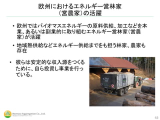 欧州におけるエネルギー営林家
（営農家）の活躍
• 欧州ではバイオマスエネルギーの原料供給、加工などを本
業、あるいは副業的に取り組むエネルギー営林家（営農
家）が活躍
• 地域熱供給などエネルギー供給までをも担う林家、農家も
存在
43
• 彼らは安定的な収入源をつくる
ために、自ら投資し事業を行っ
ている。
 