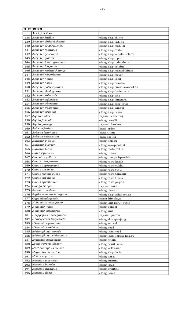 Unduh 43 Gambar Elang Ikan Kepala Kelabu Keren Gratis ...