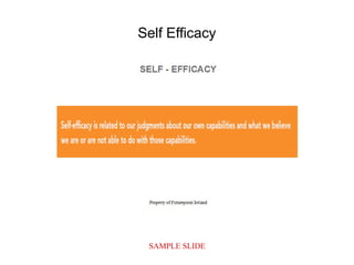SAMPLE SLIDE
Self Efficacy
 