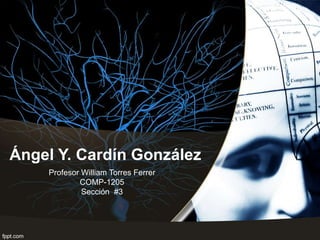 Ángel Y. Cardín González
Profesor William Torres Ferrer
COMP-1205
Sección #3
 