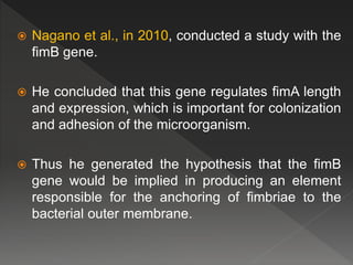 Fimb P.gingivalis seminar | PPTX