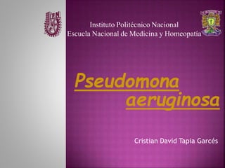 Cristian David Tapia Garcés
Pseudomona
aeruginosa
Instituto Politécnico Nacional
Escuela Nacional de Medicina y Homeopatía
 