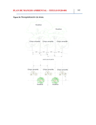 PLAN DE MANEJO AMBIENTAL – TITULO FGD-081 185
Figura 34. Revegetalización de áreas.
Chipo amarillo
VISTA EN PLANTA
Guadua
2,5 2,3 2,5 2,3
5
5
5
35
Guadua
Guadua Guadua
Chipo amarillo Chipo amarillo
Chipo amarillo Chipo amarillo Chipo amarillo
 