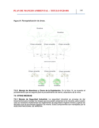 PLAN DE MANEJO AMBIENTAL – TITULO FGD-081 195
Figura 37. Revegetalización de áreas.
Chipo amarillo
VISTA EN PLANTA
Guadua
2,5 2,3 2,5 2,3
5
5
5
35
Guadua
Guadua Guadua
Chipo amarillo Chipo amarillo
Chipo amarillo Chipo amarillo Chipo amarillo
7.5.2 Manejo de Abandono y Cierre de la Explotación. En la ficha 14, se muestra el
procedimiento que se seguirá para el procedimiento de cierre y abandono de la mina.
7.6 OTRAS MEDIDAS
7.6.1 Manejo de Seguridad Industrial. La seguridad industrial se encarga de dar
lineamientos para manejar los riesgos que se pueden presentar en la industria, para nuestro
caso es necesario implementar los reglamentos de seguridad e higiene minera y aplicar los
decretos que se encuentren ligados a la misma. Estos componentes son manejados por la
AGECNIA NACIONAL DE MINERIA.
 
