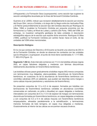 PLAN DE MANEJO AMBIENTAL – TITULO FGD-081 24
(infrayacente) y la Formación Seca (suprayacente); como sección tipo sugieren la
sección estratigráfica levantada por la línea del ferrocarril Córdoba-Cambrás.
Guerrero et al. (2000), indican que revisaron detalladamente la sección por encima
del Grupo Olini, cerca a Córdoba, a lo largo del río Negro entre los riachuelos Pitas
y El Neme (presumiblemente la sección tipo del Córdoba descrita por Rodríguez &
Ulloa, 1994) e invalidan la Formación Córdoba por presunta sinonimia con las
formaciones La Tabla y el Nivel de Lutitas y carbóns (De Porta, 1965) del VSM, sin
embargo, no muestran cartografía geológica de tales unidades ni descripción
estratigráfica alguna de la sección que soporte dicha sinonimia. Rodríguez & Ulloa
(1994), justifican la Formación Córdoba por cambio facial, hacia el norte, de las
unidades del VSM antes mencionadas.
Descripción litológica
En la vía que conduce de Otanche a El Encanto se levantó una columna de 203 m
de la Formación Córdoba, en donde se observan los contactos con las unidades
que la infrayacen y suprayacen; el punto de inicio tiene coordenadas X: 1.117.690,
Y: 983.419 (Figura 2).
Segmento 1 (92 m). Este intervalo comienza con 11,5 m de lodolitas silíceas negras
(N3), en capas tabulares delgadas y medianas con láminas discontinuas
relativamente abundantes en foraminíferos bentónicos.
Las lodolitas silíceas pasan gradualmente a lodolitas negras (N3) menos compactas
con laminaciones muy delgadas, plano-paralelas, discontinuas de foraminíferos
bentónicos; en ocasiones es tal la abundancia de foraminíferos bentónicos con
conchillas calcáreas (30% en adelante), que pueden ser descritas como margas o
como calizas impuras (packstones y wackstones de foraminíferos).
Se presentan conjuntos de 1,5 a 4,5 m de espesor, formados por lodolitas con
laminaciones de foraminíferos bentónicos variables en abundancia (conchillas
conservadas en carbonato, en pirita o disueltas) en capas delgadas a medianas,
intercalados con conjuntos de 0.3 a 1.5 m de espesor de margas con laminaciones
discontinuas formadas por foraminíferos bentónicos, en capas delgadas a medianas
y con conjuntos de 0,3 a 9 m de calizas impuras con foraminíferos bentónicos
empaquetados, alineados paralelamente a la estratificación, y laminaciones
menores formadas de lodo terrígeno, en capas muy delgadas a medianas.
Ocasionalmente al interior de las calizas se encuentran escasos bivalvos.
 