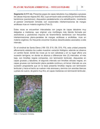 PLAN DE MANEJO AMBIENTAL – TITULO FGD-081 26
Segmento 2 (111 m). Presenta juegos de capas tabulares muy delgadas a gruesas
de calizas impuras negras (N3, N2), cuyo armazón está constituido por foraminíferos
bentónicos (packstones), dispuestos paralelamente a la estratificación, mostrando
al parecer orientación bimodal, con ocasionales interlaminaciones de margas
arcillosas ricas en materia orgánica (Foto 2).
Estas rocas se encuentran intercaladas con juegos de capas tabulares muy
delgadas a medianas, que originan una morfología más blanda formada por
wackstones y packstones impuros de foraminíferos bentónicos con frecuentes
interlaminaciones plano-paralelas de margas arcillosas a arcillolitas, ricas en
materia orgánica. Es frecuente encontrar bivalvos desarticulados asociados a este
intervalo.
En el sinclinal de Santa Elena (189: E9, E10, D9, D10, F9), esta unidad presenta
afloramiento aislados los cuales muestran variación litológica; además se observa
un cambio facial, donde las rocas ya no son calcáreas y en su lugar aflora una
sucesión terrígena, en donde se alcanza a diferenciar tres (3) intervalos; el más
bajo, son limolitas negras compactas, con laminación lenticular, dispuestas en
capas gruesas y tabulares; el segundo intervalo son limolitas silíceas negras, en
capas gruesas con laminación plana paralela continua y el tercer intervalo es una
sucesión progradante que en la base presenta limolitas negras con laminación
lenticular y hacia el techo se vuelven más arenosas y termina con arenitas blancas
y grises de cuarzo, de grano muy fino, en capas medianas con laminación lenticular.
Foto 2. Formación Córdoba.
 