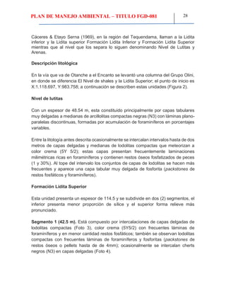 PLAN DE MANEJO AMBIENTAL – TITULO FGD-081 28
Cáceres & Etayo Serna (1969), en la región del Tequendama, llaman a la Lidita
inferior y la Lidita superior Formación Lidita Inferior y Formación Lidita Superior
mientras que al nivel que los separa lo siguen denominando Nivel de Lutitas y
Arenas.
Descripción litológica
En la vía que va de Otanche a el Encanto se levantó una columna del Grupo Olini,
en donde se diferencia El Nivel de shales y la Lidita Superior; el punto de inicio es
X:1.118.697, Y:983.758; a continuación se describen estas unidades (Figura 2).
Nivel de lutitas
Con un espesor de 48.54 m, esta constituido principalmente por capas tabulares
muy delgadas a medianas de arcillolitas compactas negras (N3) con láminas plano-
paralelas discontinuas, formadas por acumulación de foraminíferos en porcentajes
variables.
Entre la litología antes descrita ocasionalmente se intercalan intervalos hasta de dos
metros de capas delgadas y medianas de lodolitas compactas que meteorizan a
color crema (5Y 5/2); estas capas presentan frecuentemente laminaciones
milimétricas ricas en foraminíferos y contienen restos óseos fosfatizados de peces
(1 y 30%). Al tope del intervalo los conjuntos de capas de lodolitas se hacen más
frecuentes y aparece una capa tabular muy delgada de fosforita (packstones de
restos fosfáticos y foraminíferos).
Formación Lidita Superior
Esta unidad presenta un espesor de 114.5 y se subdivide en dos (2) segmentos, el
inferior presenta menor proporción de sílice y el superior forma relieve más
pronunciado.
Segmento 1 (42.5 m). Está compuesto por intercalaciones de capas delgadas de
lodolitas compactas (Foto 3), color crema (5Y5/2) con frecuentes láminas de
foraminíferos y en menor cantidad restos fosfáticos; también se observan lodolitas
compactas con frecuentes láminas de foraminíferos y fosforitas (packstones de
restos óseos o pellets hasta de de 4mm); ocasionalmente se intercalan cherts
negros (N3) en capas delgadas (Foto 4).
 