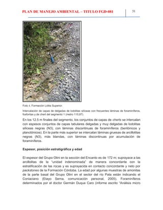 PLAN DE MANEJO AMBIENTAL – TITULO FGD-081 31
Foto 4. Formación Lidita Superior.
Intercalación de capas de delgadas de lodolitas silíceas con frecuentes láminas de foraminíferos,
fosforitas y de chert del segmento 1 (metro 115,87).
En los 12.5 m finales del segmento, los conjuntos de capas de cherts se intercalan
con espesos conjuntos de capas tabulares delgadas y muy delgadas de lodolitas
silíceas negras (N3), con láminas discontinuas de foraminíferos (bentónicos y
planctónicos). En la parte más superior se intercalan láminas gruesas de arcillolitas
negras (N3), más blandas, con láminas discontinuas por acumulación de
foraminíferos.
Espesor, posición estratigráfica y edad
El espesor del Grupo Olini en la sección del Encanto es de 172 m; suprayace a las
arcillolitas de la “unidad indenominada” de manera concordante con la
estratificación de las rocas y es suprayacida en contacto concordante y neto por
packstones de la Formación Córdoba. La edad por algunas muestras de amonitas
de la parte basal del Grupo Olini en el sector del río Pata están indicando el
Coniaciano (Etayo Serna, comunicación personal, 2005). Foraminíferos
determinados por el doctor Germán Duque Caro (informe escrito “Análisis micro
 
