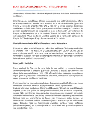 PLAN DE MANEJO AMBIENTAL – TITULO FGD-081 33
aflorar como mínimo unos 100 m de espesor (cálculos realizados mediante corte
geológico).
El límite superior con el Grupo Olini es concordante-neto y el límite inferior no aflora
en el área de estudio. Se colectaron amonitas en el sector de Otanche (quebrada
Sutime y vereda El Encanto (169: G10 y 189: A9) y en las escamas tectónicas
asociadas a la Falla de La Salina que representan el Turoniano y el Coniaciano; la
posición estratigráfica allí, es comparable a la de la Formación La Frontera de la
Región del Tequendama y a la del nivel de “Ruedas de carreta” del Valle Superior
del Magdalena (VSM) o a la del Miembro Cucaita de la Formación Conejo de la
Región de Villa de Leyva (Etayo Serna, comunicación verbal).
Unidad indenominada (k2k3ui) Turoniano tardío, Coniaciano
Esta unidad aflora entre la Formación La Frontera y el Grupo Olini, en los sinclinales
de Otanche (169: H 10; 189: A10) y Guadualito (189: D7, D8, C7, C8, B9, B8); al
carecer de una sección adecuada para su levantamiento, es recomendable no
formalizar la sucesión litológica que aflora para esta intervalo de tiempo y se le llama
informalmente “unidad indenominada”.
Descripción litológica
En el sinclinal de Otanche, la parte baja de esta unidad no presenta buenos
afloramiento solo en la carretera que va de Otanche a la escuela de Cambuco, a la
altura de la quebrada Sutime (169: H10), afloran lodolitas calcáreas y micritas en
capas gruesas y medianas, con contactos ondulosos, intercaladas con esporádicas
capas gruesas de lodolitas no calcáreas.
Es común observar concreciones calcáreas de espesor variable (8-40 cm), en cuyos
núcleos se presentan amonitas acompañadas de calcita y pirobitumen.
En la carretera que conduce de Otanche a El Encanto (189: A9), se levantó la parte
superior (45 m) que queda por debajo del Grupo Olini; son arcillolitas compactas,
negras (N3), con láminas plano-paralelas, discontinuas que muestran porcentaje
variable de foraminíferos (disueltos). En ciertos intervalos delgados y medianos las
láminas ricas en foraminíferos se hacen más frecuentes; estas láminas se
intemperizan fácilmente y toman color crema (5Y5/2). Hacia el tope del intervalo las
capas delgadas ricas en foraminíferos muestran también restos fosfáticos
(vértebras de peces), en porcentajes que no superan el 30% y tamaños que rara
vez exceden los 4 mm.
 