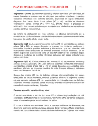 PLAN DE MANEJO AMBIENTAL – TITULO FGD-081 44
Segmento 4 (35 m). Se presentan lodolitas y limolitas calcáreas y no calcáreas, en
capas delgadas a gruesas que se intercalan con calizas micríticas y arenitas
cuarzosas inmaduras con cemento calcáreo, dispuestas en capas lenticulares
delgadas. Las rocas tienen tonos grises (N3 y N4); también se observan
coloraciones claras, cremas (N7, 10YR 6/2, 5Y6/1), debido a procesos de
albitización. Los contactos de las capas son ondulosos y la laminación es ondulada
paralela continua y discontinua.
Es notoria la albitización de roca, además se observa rompimiento de la
estratificación por formación de brechas hidrotermales en ocasiones meteorizadas;
hay venas de calcita, albita, yeso y pirita.
Segmento 5 (25 m). Los primeros quince metros (15 m) son lodolitas de colores
grises (N4 y N5), en capas delgadas a gruesas con contactos ondulosos y
laminación ondulada paralela continua y discontinua, que se intercalan con
ocasionales capas lenticulares de limolitas arenosas y calizas micríticas. En los
metros superiores la secuencia tiene un carácter calcáreo y se intercalan capas
delgadas a medianas de lodolitas y limolitas calcáreas con capas lenticulares de
calizas micríticas.
Segmento 6 (52 m). En los primeros diez metros (10 m) se presentan arenitas y
arenitas lodosas, grises (N3 y N4), con cemento calcáreo e inmaduras; intercaladas
con lodolitas silíceas grises (N3 y N4) en capas delgadas con contactos plano
paralelos; además, se presentan nódulos de pirita, limosos, silíceos y calcáreos
como también venas de calcita.
Siguen diez metros (10 m), de lodolitas silíceas interestratificadas con capas
lenticulares de calizas micríticas, limolitas y arenitas lodosas; el segmento culmina
en una sucesión calcárea (32 m), representada por intercalaciones de lodolitas
calcáreas, limolitas calcáreas, caliza micrítica y arenitas con cemento calcáreo en
capas lenticulares medianas y delgadas.
Espesor, posición estratigráfica y edad
El espesor medido en la sección tipo es de 160 m; sin embargo en la plancha 189,
en el sector de Muzo (minas de Puerto Arturo, 189: C11 y D11), por cortes realizados
sobre el mapa el espesor aproximado es de 300 m.
El contacto inferior es transicional rápido a neto con la Formación Furatena y se
determina fácilmente por la naturaleza calcárea de la Formación Muzo; el contacto
superior es concordante-neto a transicional con la Formación Capotes y se marca
 