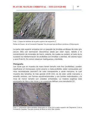 PLAN DE MANEJO AMBIENTAL – TITULO FGD-081 49
Foto 5. Capas de lodolitas de la parte superior del segmento 2.
Peñas de Guazo, de la Formación Capotes. Vía principal que de Muzo conduce a Chiquinquirá.
La parte más superior empieza con un paquete de limolitas arcillosas de color gris
oscuro (N3) con laminación discontinua (dada por color rojizo, debido a la
concentración de minerales de hierro, siderita, los cuales se oxidan); el resto de la
sucesión es interlaminación de arcillolitas con limolitas o arenitas, de colores rojizo
y azul (Foto 6). Es común observar madrigueras y cloritoide.
Petrografía.
Las rocas que en muestra de mano tienen tamaño más fino (arcillolitas), pueden
clasificarse al microscopio como pizarra o meta-arcillolita; están compuestas por
mica recristalizada (sericita?) de color transparente a verde manzana, la cual
muestra dos tamaños; la más grande (0.05 mm), es de color verde manzana o
amarillo verdoso, con formas equidimensionales y con bordes redondeados y la
mica de menor tamaño son cristales anhedrales. La materia orgánica está
acompaña de hilos a las micas y en ocasiones definen una crenulación S1.
Foto 6. Laminación plano-paralela observada en rocas de la parte superior del Segmento 3 de la
Formación Capotes. Vía que conduce de Muzo al cerro San Juanito.
 