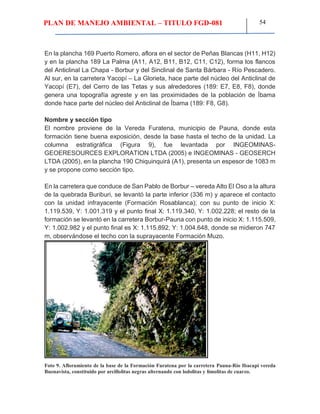 PLAN DE MANEJO AMBIENTAL – TITULO FGD-081 54
En la plancha 169 Puerto Romero, aflora en el sector de Peñas Blancas (H11, H12)
y en la plancha 189 La Palma (A11, A12, B11, B12, C11, C12), forma los flancos
del Anticlinal La Chapa - Borbur y del Sinclinal de Santa Bárbara - Río Pescadero.
Al sur, en la carretera Yacopí – La Glorieta, hace parte del núcleo del Anticlinal de
Yacopí (E7), del Cerro de las Tetas y sus alrededores (189: E7, E8, F8), donde
genera una topografía agreste y en las proximidades de la población de Íbama
donde hace parte del núcleo del Anticlinal de Íbama (189: F8, G8).
Nombre y sección tipo
El nombre proviene de la Vereda Furatena, municipio de Pauna, donde esta
formación tiene buena exposición, desde la base hasta el techo de la unidad. La
columna estratigráfica (Figura 9), fue levantada por INGEOMINAS-
GEOERESOURCES EXPLORATION LTDA (2005) e INGEOMINAS - GEOSERCH
LTDA (2005), en la plancha 190 Chiquinquirá (A1), presenta un espesor de 1083 m
y se propone como sección tipo.
En la carretera que conduce de San Pablo de Borbur – vereda Alto El Oso a la altura
de la quebrada Buriburi, se levantó la parte inferior (336 m) y aparece el contacto
con la unidad infrayacente (Formación Rosablanca); con su punto de inicio X:
1.119.539, Y: 1.001.319 y el punto final X: 1.119.340, Y: 1.002.228; el resto de la
formación se levantó en la carretera Borbur-Pauna con punto de inicio X: 1.115.509,
Y: 1.002.982 y el punto final es X: 1.115.892, Y: 1.004.648, donde se midieron 747
m, observándose el techo con la suprayacente Formación Muzo.
Foto 9. Afloramiento de la base de la Formación Furatena por la carretera Pauna-Río Ibacapí vereda
Buenavista, constituido por arcillolitas negras alternando con lodolitas y limolitas de cuarzo.
 