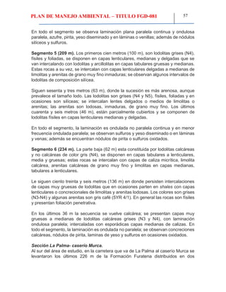 PLAN DE MANEJO AMBIENTAL – TITULO FGD-081 57
En todo el segmento se observa laminación plana paralela continua y ondulosa
paralela, azufre, pirita, yeso diseminado y en láminas o venillas; además de nódulos
silíceos y sulfuros.
Segmento 5 (209 m). Los primeros cien metros (100 m), son lodolitas grises (N4),
físiles y foliadas, se disponen en capas lenticulares, medianas y delgadas que se
van intercalando con lodolitas y arcillolitas en capas tabulares gruesas y medianas.
Estas rocas a su vez, se intercalan con capas lenticulares delgadas a medianas de
limolitas y arenitas de grano muy fino inmaduras; se observan algunos intervalos de
lodolitas de composición silícea.
Siguen sesenta y tres metros (63 m), donde la sucesión es más arenosa, aunque
prevalece el tamaño lodo. Las lodolitas son grises (N4 y N5), físiles, foliadas y en
ocasiones son silíceas; se intercalan lentes delgados o medios de limolitas o
arenitas; las arenitas son lodosas, inmaduras, de grano muy fino. Los últimos
cuarenta y seis metros (46 m), están parcialmente cubiertos y se componen de
lodolitas físiles en capas lenticulares medianas y delgadas.
En todo el segmento, la laminación es ondulada no paralela continua y en menor
frecuencia ondulada paralela; se observan sulfuros y yeso diseminado o en láminas
y venas; además se encuentran nódulos de pirita o sulfuros oxidados.
Segmento 6 (234 m). La parte baja (62 m) esta constituida por lodolitas calcáreas
y no calcáreas de color gris (N4), se disponen en capas tabulares a lenticulares,
media y gruesas; estas rocas se intercalan con capas de caliza micrítica, limolita
calcárea, arenitas calcáreas de grano muy fino y limolitas en capas medianas,
tabulares a lenticulares.
Le siguen ciento treinta y seis metros (136 m) en donde persisten intercalaciones
de capas muy gruesas de lodolitas que en ocasiones parten en shales con capas
lenticulares o concrecionales de limolitas y arenitas lodosas. Los colores son grises
(N3-N4) y algunas arenitas son gris café (5YR 4/1). En general las rocas son físiles
y presentan foliación penetrativa.
En los últimos 36 m la secuencia se vuelve calcárea; se presentan capas muy
gruesas a medianas de lodolitas calcáreas grises (N3 y N4), con laminación
ondulosa paralela; intercaladas con esporádicas capas medianas de calizas. En
todo el segmento, la laminación es ondulada no paralela; se observan concreciones
calcáreas, nódulos de pirita, laminas de yeso y sulfuros en ocasiones oxidados.
Sección La Palma- caserío Murca.
Al sur del área de estudio, en la carretera que va de La Palma al caserío Murca se
levantaron los últimos 226 m de la Formación Furatena distribuidos en dos
 
