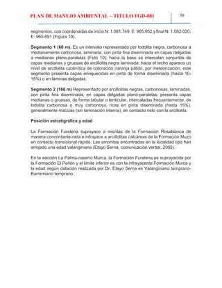 PLAN DE MANEJO AMBIENTAL – TITULO FGD-081 58
segmentos, con coordenadas de inicio N: 1.081.749, E: 965.952 y final N: 1.082.020,
E: 965.691 (Figura 10).
Segmento 1 (60 m). Es un intervalo representado por lodolita negra, carbonosa a
medianamente carbonosa, laminada, con pirita fina diseminada en capas delgadas
a medianas plano-paralelas (Foto 10); hacia la base se intercalan conjuntos de
capas medianas y gruesas de arcillolita negra laminada; hacia el techo aparece un
nivel de arcillolita caolinítica de coloración naranja pálido, por meteorización; este
segmento presenta capas enriquecidas en pirita de forma diseminada (hasta 10-
15%) o en láminas delgadas.
Segmento 2 (166 m) Representado por arcillolitas negras, carbonosas, laminadas,
con pirita fina diseminada, en capas delgadas plano-paralelas; presenta capas
medianas o gruesas, de forma tabular o lenticular, intercaladas frecuentemente, de
lodolita carbonosa o muy carbonosa, ricas en pirita diseminada (hasta 15%),
generalmente macizas (sin laminación interna), en contacto neto con la arcillolita.
Posición estratigráfica y edad
La Formación Furatena suprayace a micritas de la Formación Rosablanca de
manera concordante-neta e infrayace a arcillolitas calcáreas de la Formación Muzo
en contacto transicional rápido. Las amonitas encontradas en la localidad tipo han
arrojado una edad valanginiana (Etayo Serna, comunicación verbal, 2005).
En la sección La Palma-caserío Murca, la Formación Furatena es suprayacida por
la Formación El Peñón y el límite inferior es con la infrayacente Formación Murca y
la edad según datación realizada por Dr. Etayo Serna es Valanginiano temprano-
Barremiano temprano.
 