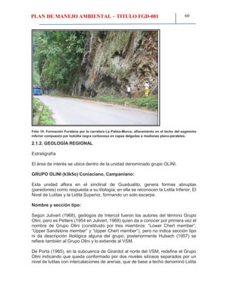 PLAN DE MANEJO AMBIENTAL – TITULO FGD-081 60
Foto 10. Formación Furatena por la carretera La Palma-Murca; afloramiento en el techo del segmento
inferior compuesto por lodolita negra carbonosa en capas delgadas a medianas plano-paralelas.
2.1.2. GEOLOGÍA REGIONAL
Estratigrafía
El área de interés se ubica dentro de la unidad denominado grupo OLINI.
GRUPO OLINI (k3k5o) Coniaciano, Campaniano:
Esta unidad aflora en el sinclinal de Guadualito, genera formas abruptas
(paredones) como respuesta a su litología; en ella se reconocen la Lidita Inferior, El
Nivel de Lutitas y la Lidita Superior, formando un solo escarpe.
Nombre y sección tipo:
Según Julivert (1968), geólogos de Intercol fueron los autores del término Grupo
Olini, pero es Petters (1954 en Julivert, 1968) quien da a conocer por primera vez el
nombre de Grupo Olini (constituido por tres miembros: “Lower Chert member”,
“Upper Sandstone member” y “Upper Chert member”), pero no indica sección tipo
ni da descripción litológica alguna del grupo; posteriormente Hubach (1957) se
refiere también al Grupo Olini y lo extiende al VSM.
De Porta (1965), en la subcuenca de Girardot al norte del VSM, redefine el Grupo
Olini indicando que queda conformado por dos niveles silíceos separados por un
nivel de lutitas con intercalaciones de arenas, que de base a techo denominó Lidita
 