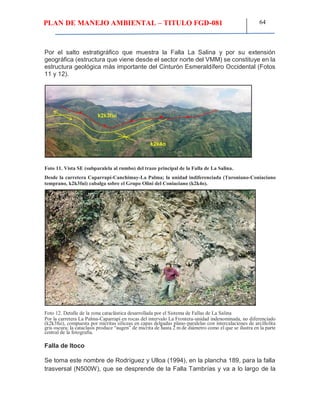 PLAN DE MANEJO AMBIENTAL – TITULO FGD-081 64
Por el salto estratigráfico que muestra la Falla La Salina y por su extensión
geográfica (estructura que viene desde el sector norte del VMM) se constituye en la
estructura geológica más importante del Cinturón Esmeraldífero Occidental (Fotos
11 y 12).
Foto 11. Vista SE (subparalela al rumbo) del trazo principal de la Falla de La Salina.
Desde la carretera Caparrapí-Canchimay-La Palma; la unidad indiferenciada (Turoniano-Coniaciano
temprano, k2k3fui) cabalga sobre el Grupo Olini del Coniaciano (k2k4o).
Foto 12. Detalle de la zona cataclástica desarrollada por el Sistema de Fallas de La Salina
Por la carretera La Palma-Caparrapí en rocas del intervalo La Frontera-unidad indenominada, no diferenciado
(k2k3fui), compuesta por micritas silíceas en capas delgadas plano-paralelas con intercalaciones de arcillolita
gris oscura; la cataclasis produce “augen” de micrita de hasta 2 m de diámetro como el que se ilustra en la parte
central de la fotografía.
Falla de Itoco
Se toma este nombre de Rodríguez y Ulloa (1994), en la plancha 189, para la falla
trasversal (N500W), que se desprende de la Falla Tambrías y va a lo largo de la
 
