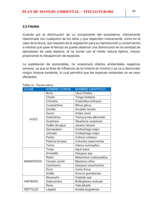 PLAN DE MANEJO AMBIENTAL – TITULO FGD-081 99
2.2 FAUNA
Cuando por la disminución de un componente del ecosistema, íntimamente
relacionado con cualquiera de los otros y que dependen mutuamente, como en el
caso de la fauna, que requiere de la vegetación para su reproducción y conservación,
a medida que pase el tiempo se puede observar una disminución en la cantidad de
ejemplares de cada especie, al no contar con el medio natural óptimo, incluso
propiciando la desaparición de especies.
La explotación de esmeraldas, no ocasionará efectos ambientales negativos
severos, ya que el área de influencia de la minería es mínima y se va a desmontar
ningún bosque existente, lo cual permitirá que las especies existentes no se vean
afectadas.
Tabla 20. Fauna nativa
CLASE NOMBRE COMUN NOMBRE CIENTIFICO
AVES
Buho Otus Choliba
Chorlo Tringa Solitaria
Chorolos Cryturellus eritropus
Cucarachero Minus gilvus
Gavilán Accipiter bicolor
Garza Ardea cocol
Golondrina Tachycyneta albiventer
Guácharo Steartonis caripensis
Gallito de agua Jacana Jacana
Garrapatero Crottophaga major
Jirihuelo Crottophaga major
Perdiz Colinus cristatus
Paloma torcaza Columba cayennensis
Toche Icterus auricapillus
MAMIFEROS
Tinajo Agutí paca
Armadillo Dasypus spp
Ratón Metachirus nudicaudatus
Venado soche Mazama rufina
Cachicamo Dasypus novemcintus
Zorro Canis thous
Ardilla Sciurus granatensis
ANFIBIOS
Musaraña Criptotis spp
Salamandra Bolitoglossa andicola
Rana Hyla labialis
REPTILES Lagarto Anadia bogotensis
 