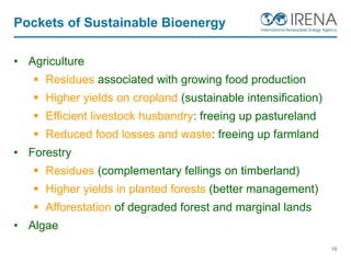 Pockets of Sustainable Bioenergy
• Agriculture
 Residues associated with growing food production
 Higher yields on cropland (sustainable intensification)
 Efficient livestock husbandry: freeing up pastureland
 Reduced food losses and waste: freeing up farmland
• Forestry
 Residues (complementary fellings on timberland)
 Higher yields in planted forests (better management)
 Afforestation of degraded forest and marginal lands
• Algae
16
 