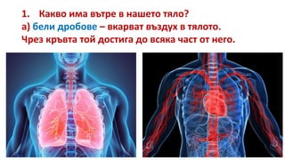 сърце
бели дробове
черва
стомах
дихателна тръба
хранопровод
мозък
нос
уста
УТ – с. 36
 