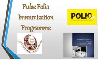 Pulse polio immunizaton program