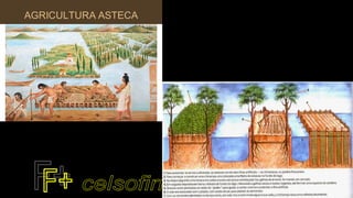 Pré colombianos: Maias, Astecas, Incas 2020