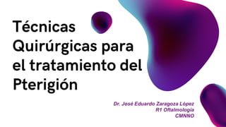 Dr. José Eduardo Zaragoza López
R1 Oftalmología
CMNNO
 