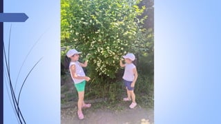 Նանե Գևորգյան - Բուսաբանական այգի