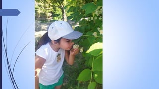 Նանե Գևորգյան - Բուսաբանական այգի