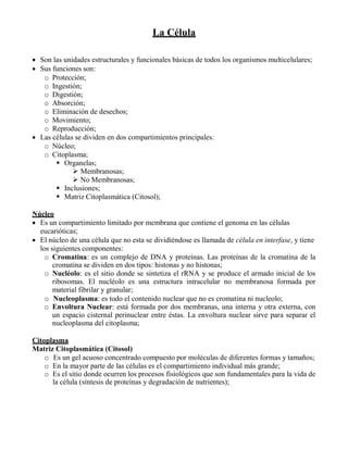 La Célula
 Son las unidades estructurales y funcionales básicas de todos los organismos multicelulares;
 Sus funciones son:
o Protección;
o Ingestión;
o Digestión;
o Absorción;
o Eliminación de desechos;
o Movimiento;
o Reproducción;
 Las células se dividen en dos compartimientos principales:
o Núcleo;
o Citoplasma;
 Organelas;
 Membranosas;
 No Membranosas;
 Inclusiones;
 Matriz Citoplasmática (Citosol);
Núcleo
 Es un compartimiento limitado por membrana que contiene el genoma en las células
eucarióticas;
 El núcleo de una célula que no esta se dividiéndose es llamada de célula en interfase, y tiene
los siguientes componentes:
o Cromatina: es un complejo de DNA y proteínas. Las proteínas de la cromatina de la
cromatina se dividen en dos tipos: histonas y no histonas;
o Nucléolo: es el sitio donde se sintetiza el rRNA y se produce el armado inicial de los
ribosomas. El nucléolo es una estructura intracelular no membranosa formada por
material fibrilar y granular;
o Nucleoplasma: es todo el contenido nuclear que no es cromatina ni nucleolo;
o Envoltura Nuclear: está formada por dos membranas, una interna y otra externa, con
un espacio cisternal perinuclear entre éstas. La envoltura nuclear sirve para separar el
nucleoplasma del citoplasma;
Citoplasma
Matriz Citoplasmática (Citosol)
o Es un gel acuoso concentrado compuesto por moléculas de diferentes formas y tamaños;
o En la mayor parte de las células es el compartimiento individual más grande;
o Es el sitio donde ocurren los procesos fisiológicos que son fundamentales para la vida de
la célula (síntesis de proteínas y degradación de nutrientes);
 