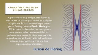 CURVATURA FALSA EN
LÍNEAS RECTAS
A pesar de ser muy antigua, esta ilusión no
deja de ser un clásico para incluir en cualquier
recopilación. Se trata de una imagen creada
por el fisiólogo alemán Ewald Hering en
1861.Al mirar las líneas horizontales parece
que estén curvadas, pero en realidad son
perfectamente rectas. La distorsión aparente
se produce por el diseño radial del fondo, que
estimula la perspectiva y crea una falsa
impresión de profundidad..
Ilusión de Hering
 