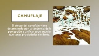 CAMUFLAJE
El efecto del camuflaje viene
determinado por la tendencia de la
percepción a unificar todo aquello
que tenga propiedades similares.
 