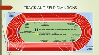 PHYSICAL EDUCATION ATHLETICS | PDF