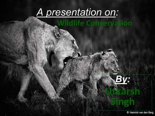 By:
Utkarsh
Singh
A presentation on:
Wildlife Conservation
 
