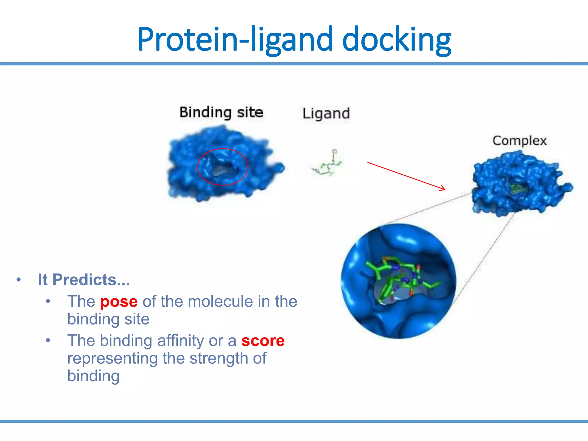 Protein-ligand docking
• It Predicts...
• The pose of the molecule in the
binding site
• The binding affinity or a score
representing the strength of
binding
 