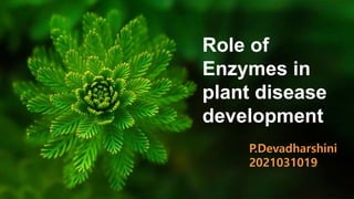Role of
Enzymes in
plant disease
development
P.Devadharshini
2021031019
 