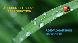 DIFFERENT TYPES OF
REPRODUCTION
P.DEVADHARSHINI
2021031019
 