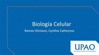 Biología Celular
Ramos Otiniano, Cynthia Catheryne
 