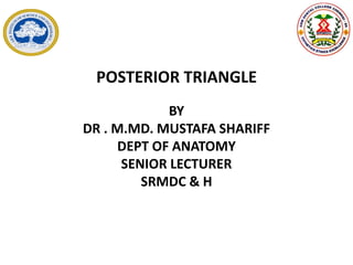 POSTERIOR TRIANGLE
BY
DR . M.MD. MUSTAFA SHARIFF
DEPT OF ANATOMY
SENIOR LECTURER
SRMDC & H
 
