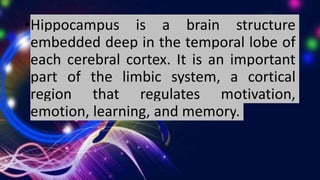 •Hippocampus is a brain structure
embedded deep in the temporal lobe of
each cerebral cortex. It is an important
part of the limbic system, a cortical
region that regulates motivation,
emotion, learning, and memory.
 