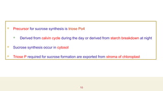 Synthesis and accumulation of starch and mobilization of starch during ...
