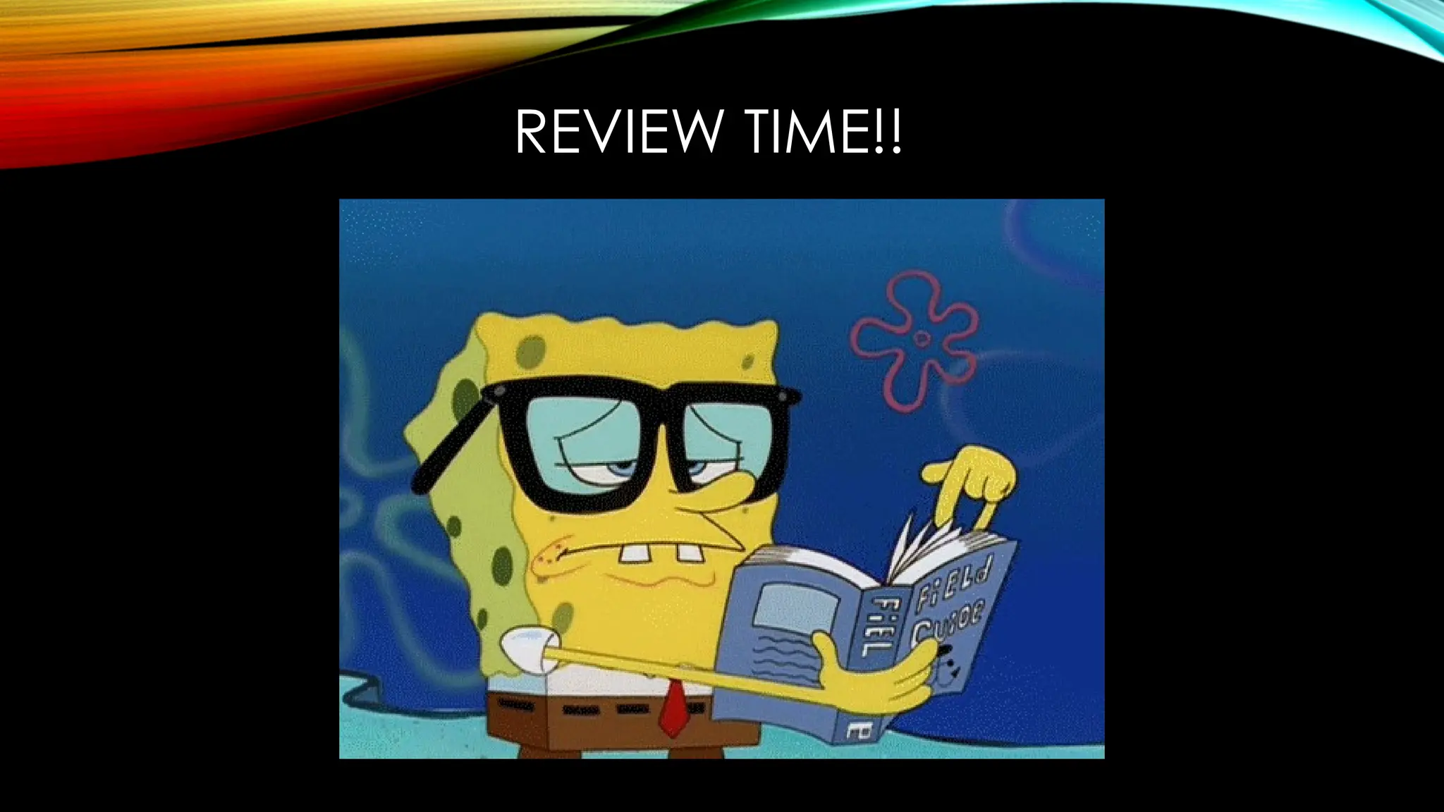 REVIEW TIME!!
 