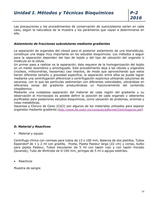 Unidad I. Métodos y Técnicas Bioquímicos P-2
2016
14
Las precauciones y los procedimientos de conservación de suero/plasma varían en cada
caso, según la naturaleza de la muestra y los parámetros que vayan a determinarse en
ella.
Aislamiento de fracciones subcelulares mediante gradientes
La separación de organelos del citosol para el posterior aislamiento de una biomolécula,
constituye una etapa muy importante en los estudios bioquímicos. Los métodos a seguir
para la separación dependen del tipo de tejido y del tipo de ubicación del organelo o
molécula en la célula.
Un primer paso a realizar es la separación, ésta requiere de la homogenización del tejido
en un medio isosmótico y amortiguado. Este procedimiento deja a las células y organelos
(núcleos, mitocondrias, lisosomas) casi intactos, de modo que aprovechando que estos
tienen diferente tamaño y gravedad específica, la separación entre ellos se puede lograr
mediante una centrifugación diferencial o centrifugación isopícnica utilizando soluciones de
sacarosa, con lo que las partículas sedimentan con diferentes velocidades, ubicándose en
diferentes zonas del gradiente produciéndose un fraccionamiento del contenido
citoplásmico.
Mediante una cuidadosa separación del material de cada región del gradiente y su
observación al microscopio es posible definir la posición de cada organelo y obtenerlos
purificados para posteriores estudios bioquímicos, como ubicación de proteínas, enzimas y
rutas metabólicas.
Sacarosa y Cloruro de Cesio (CsCl) son algunos de los materiales utilizados para separar
organelos mediante gradiente (http://www.ibt.unam.mx/computo/pdfs/met/Centrifugacion.pdf).
D. Material y Reactivos
 Material y equipo
Centrífuga clínica con camisas para tubos de 13 x 100 mm, Balanza de dos platillos, Tubos
Eppendorf de 1 y 2 ml con gradilla, Piceta, Pipeta Pasteur larga (22 cm) y cortas, bulbo
para pipeta Pasteur, Tubos Vacutainer de 5 ml con tapón rojo y con tapón morado
(lavanda), Tubo de Wintrobe de 0-100 mm, jeringas de 5 ml o agujas estériles.
 Reactivos
Muestra de sangre
 