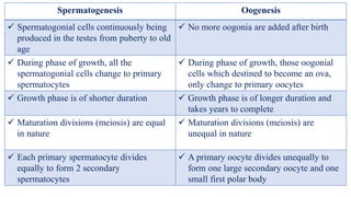 Spermatogenesis Oogenesis
 Spermatogonial cells continuously being
produced in the testes from puberty to old
age
 No more oogonia are added after birth
 During phase of growth, all the
spermatogonial cells change to primary
spermatocytes
 During phase of growth, those oogonial
cells which destined to become an ova,
only change to primary oocytes
 Growth phase is of shorter duration  Growth phase is of longer duration and
takes years to complete
 Maturation divisions (meiosis) are equal
in nature
 Maturation divisions (meiosis) are
unequal in nature
 Each primary spermatocyte divides
equally to form 2 secondary
spermatocytes
 A primary oocyte divides unequally to
form one large secondary oocyte and one
small first polar body
 