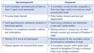 Spermatogenesis Oogenesis
 Each secondary spermatocytes divides to
form 2 equal sized spermatids
 A secondary oocyte divides unequally to
form one large ootid (ova) and one small
second polar body
 No polar body formed  Polar bodies formed and later get
degenerated
 Each spermatocytes ultimately produces 4
functional sperms
 Each oocyte produces one functional
ovum and 3 polar bodies
 Meiosis I is completed normally without
any interruption
 During meiosis I, except one, all other
primary oocytes get arrested at Prophase I
stage
 Meiosis II is not at all interrupted  During meiosis II, the secondary oocyte
get arrested at metaphase II stage
 Mature sperms are released from testes  A secondary oocytes with I polar body
arrested at metaphase II stage is released
from ovary during ovulation.
 