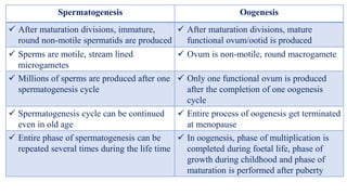Spermatogenesis Oogenesis
 After maturation divisions, immature,
round non-motile spermatids are produced
 After maturation divisions, mature
functional ovum/ootid is produced
 Sperms are motile, stream lined
microgametes
 Ovum is non-motile, round macrogamete
 Millions of sperms are produced after one
spermatogenesis cycle
 Only one functional ovum is produced
after the completion of one oogenesis
cycle
 Spermatogenesis cycle can be continued
even in old age
 Entire process of oogenesis get terminated
at menopause
 Entire phase of spermatogenesis can be
repeated several times during the life time
 In oogenesis, phase of multiplication is
completed during foetal life, phase of
growth during childhood and phase of
maturation is performed after puberty
 