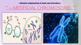 ( Genetic engineering of plant and microbes )
‘’ – ARTIFICIAL CHROMOSOME- ’’
 