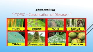 ( Plant Pathology)
‘’-TOPIC – Classification of Disease - ’’
 
