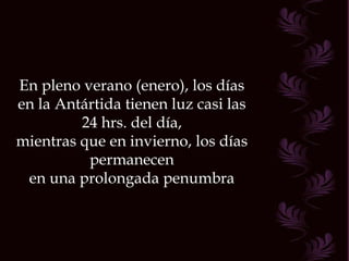 En pleno verano (enero), los días en la Antártida tienen luz casi las 24 hrs. del día, mientras que en invierno, los días permanecen en una prolongada penumbra 
