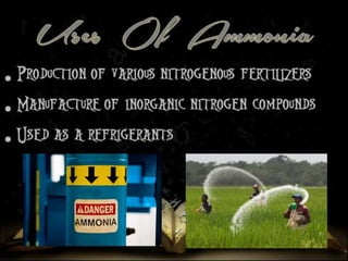 • Production of various nitrogenous 
fertilizers 
• Manufacture of inorganic nitrogen 
compounds 
• Used as a refrigerants 
 